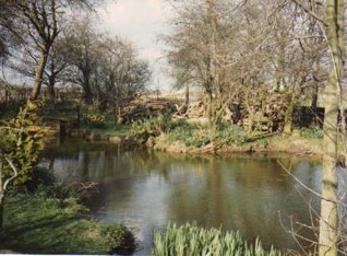Pond re-established