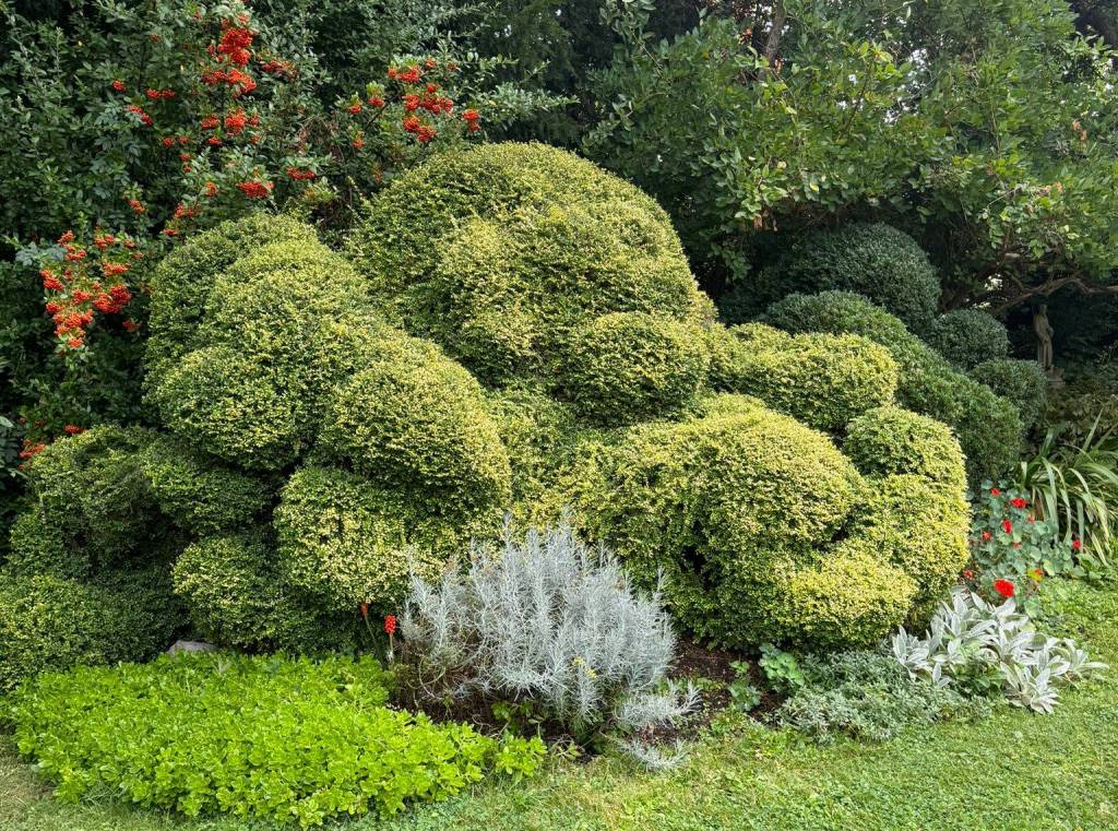 The Buddha in the Natural Garden at The Upminster Sancuary