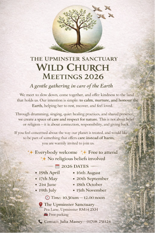 Wild church ad