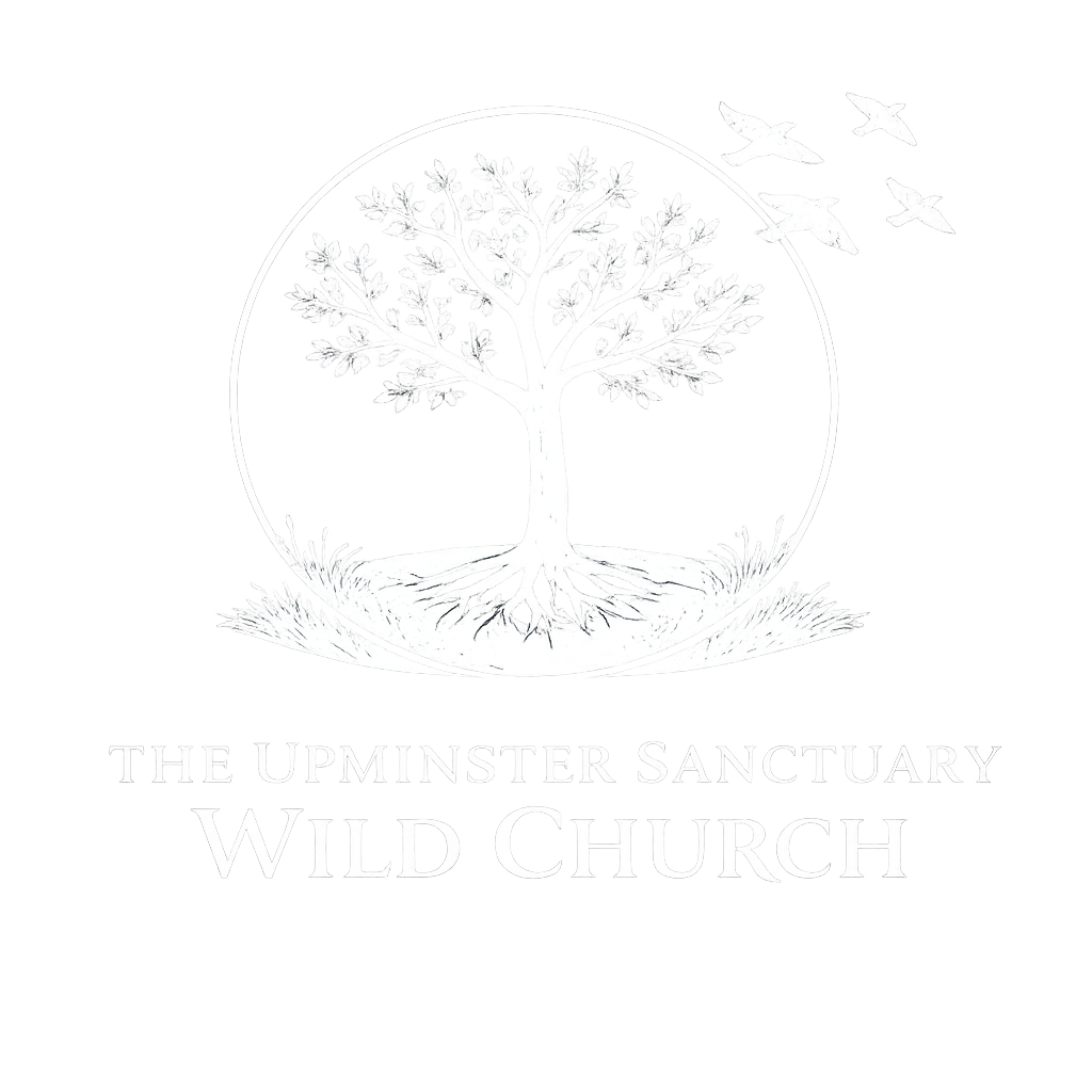 New wild church white logo